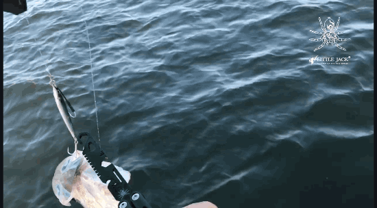 Little Jack BUTTERFLY FISHING TOOL