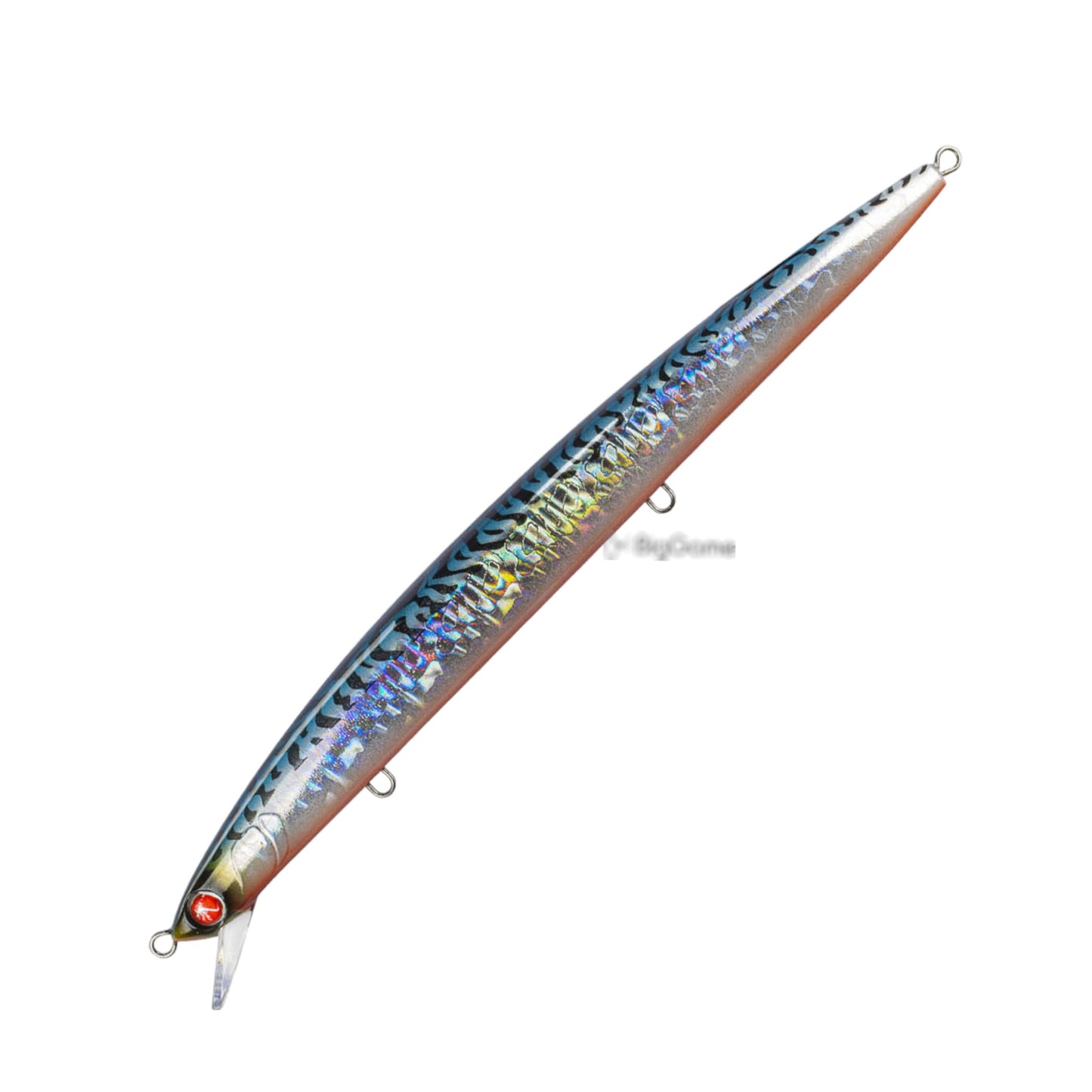 Seaspin Mommotti 180SS