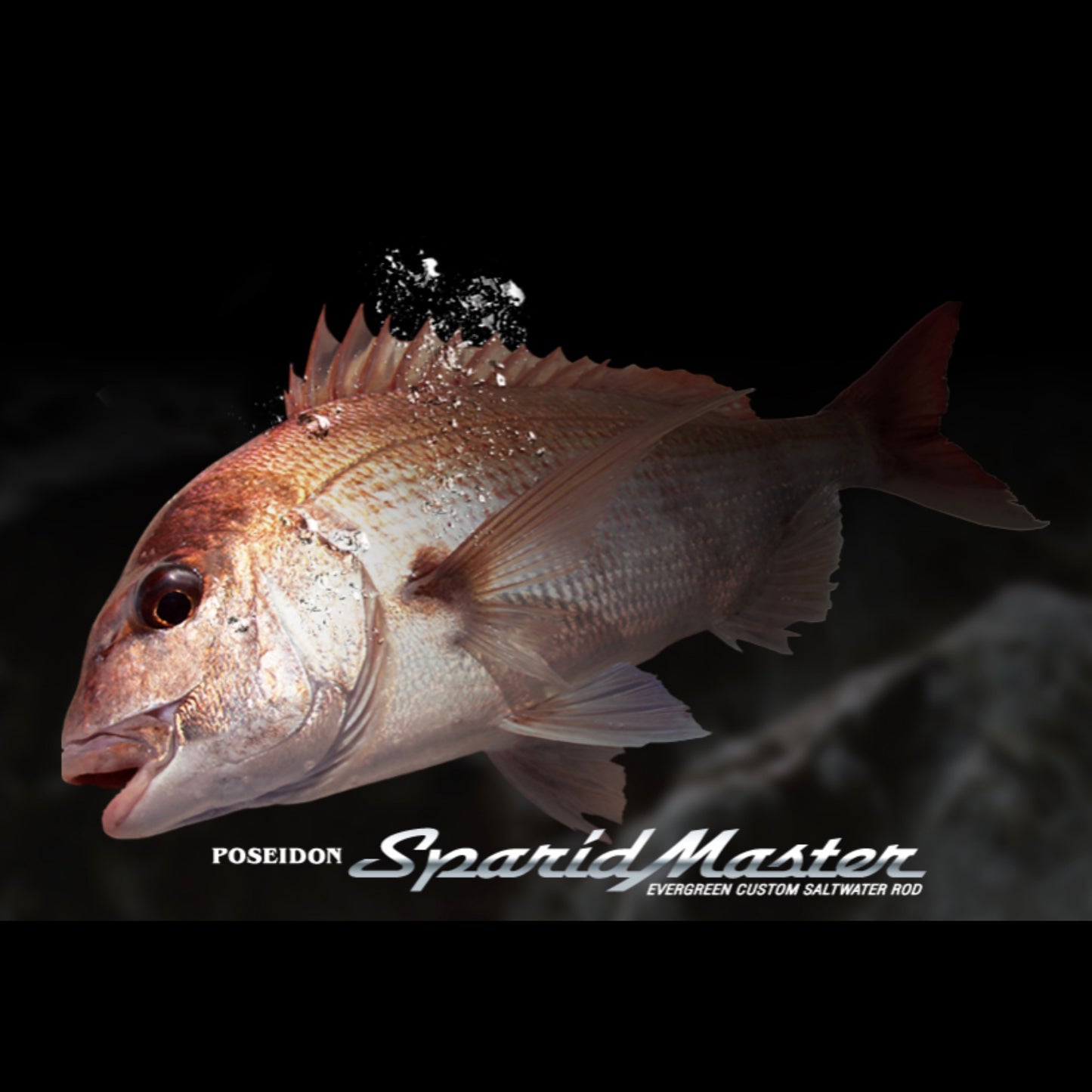Evergreen Poseidon Sparid master