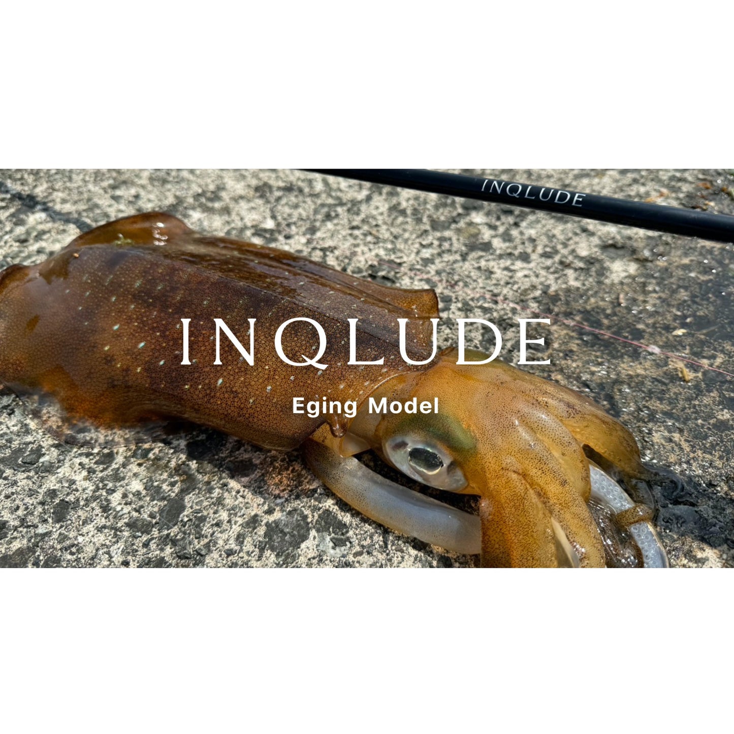 ZENAQ INQLUDE Medium Light & Squid Game