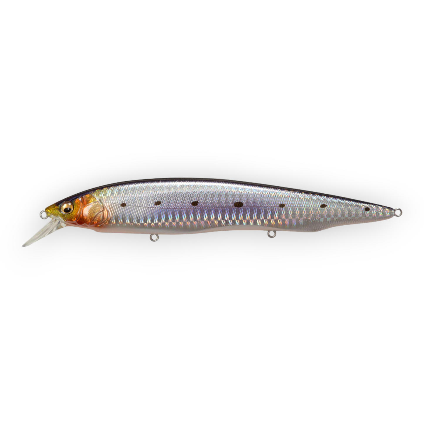 Megabass Kanata SW