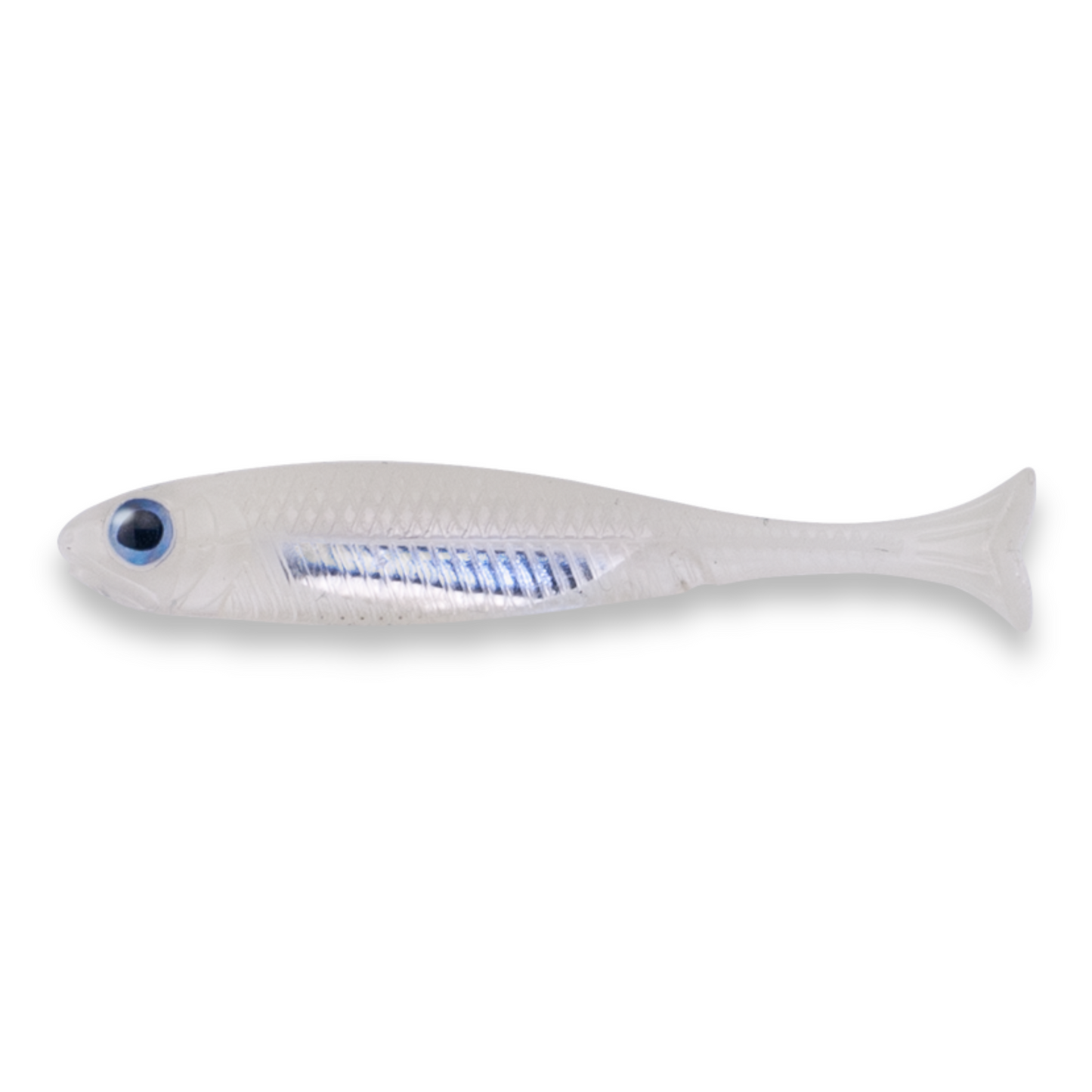 Fish Arrow FLASH J HUDDLE 1" SW LUMINOVA