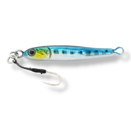 Little Jack MICRO Adict Asymmetry