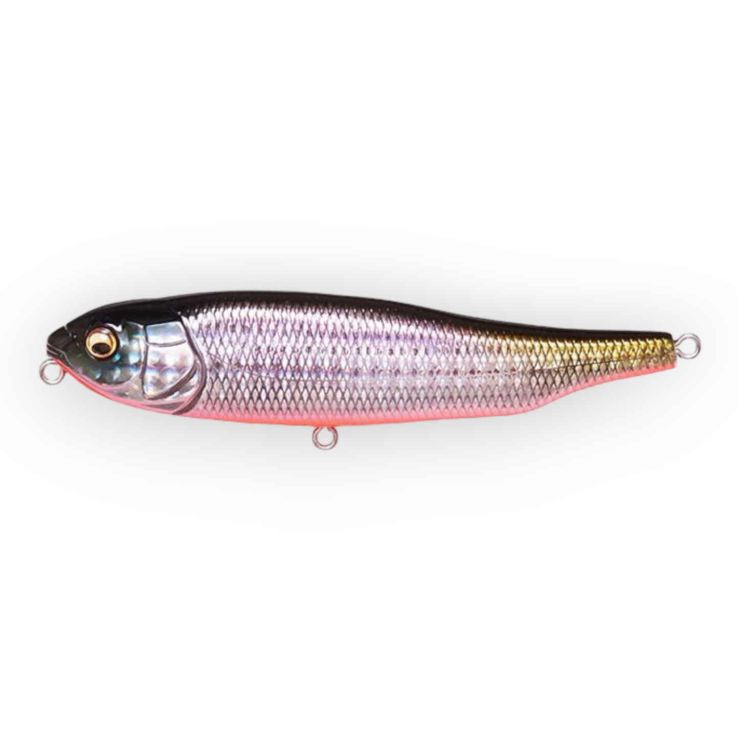 Megabass Giant Dog SW