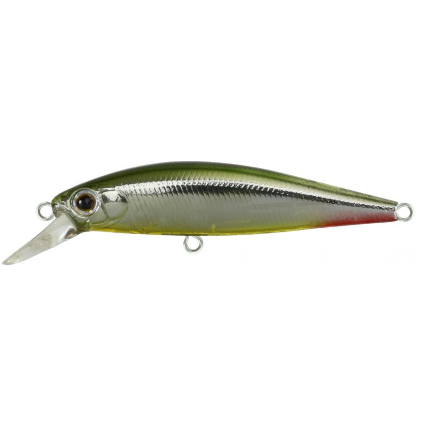 ZBL RIGGE FLAT Light SW