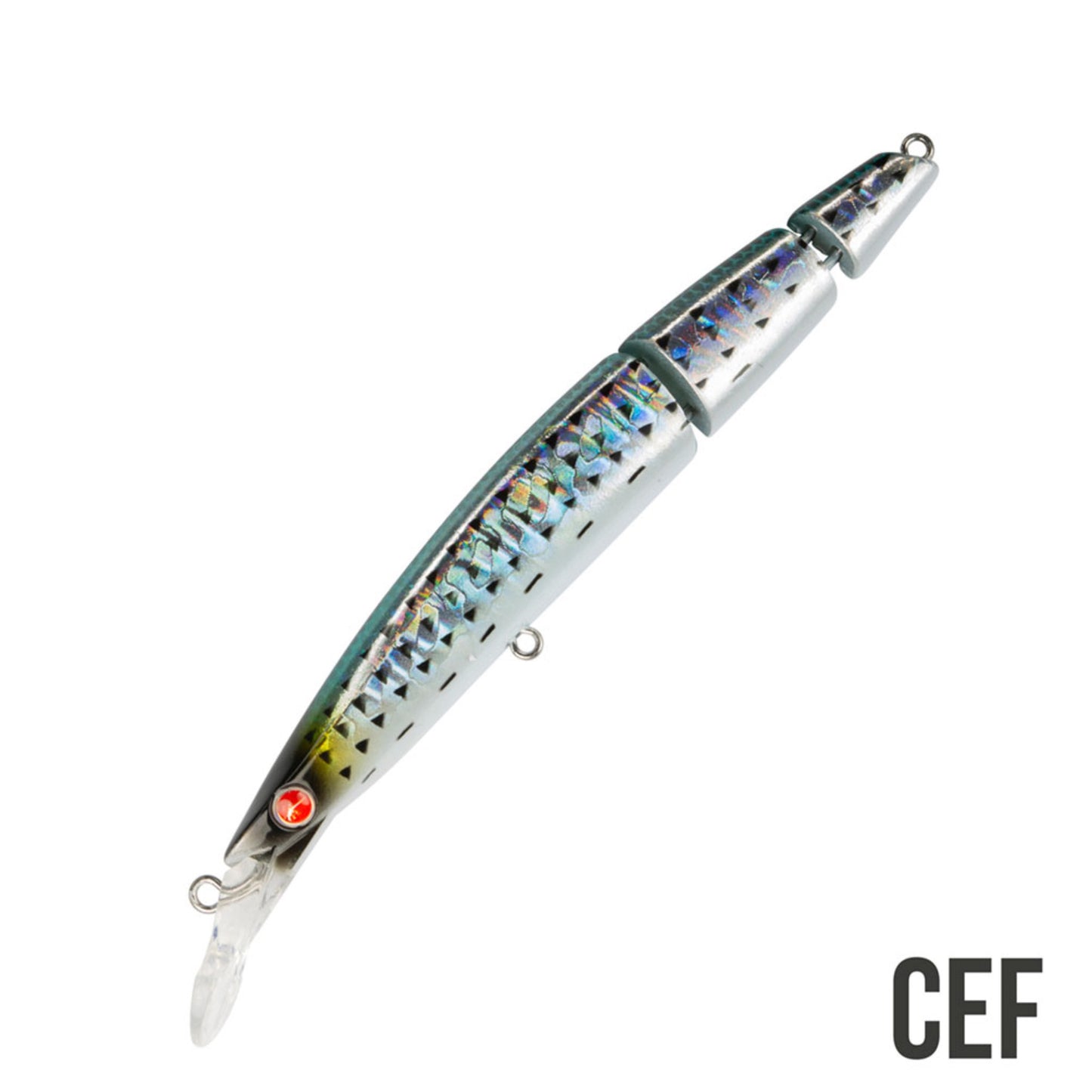 Seaspin BUGINU 115 BIU