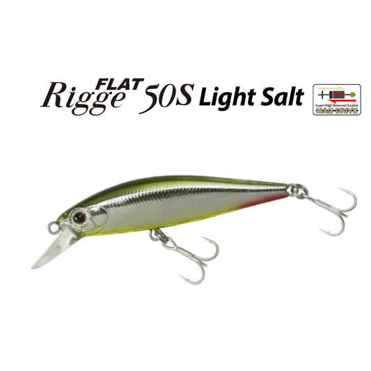 ZBL RIGGE FLAT Light SW